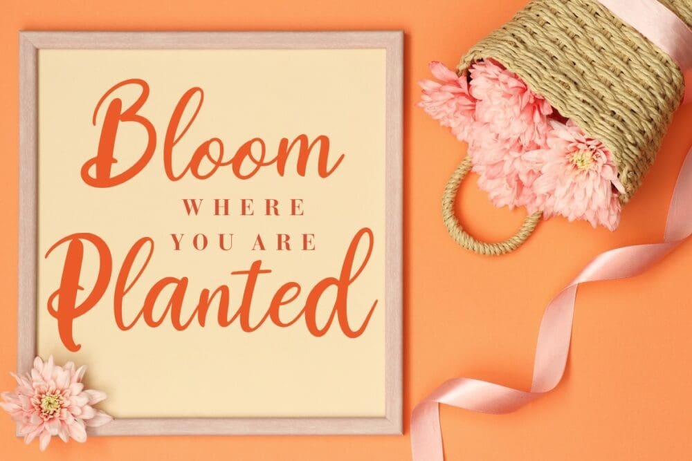 Magdalyn Modern Calligraphy Font 3