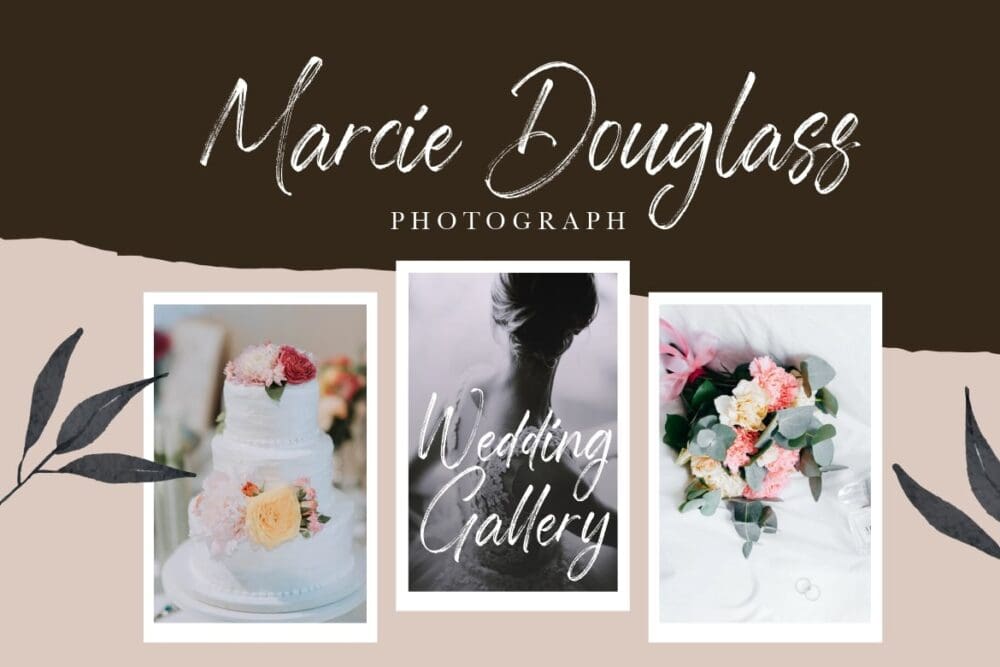 Sabertooth Signature Brush Font 2