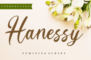 Hanessy Feminine Script Font