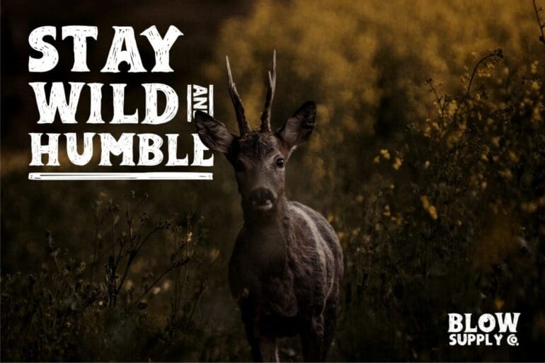 Adelard Vintage Font 1