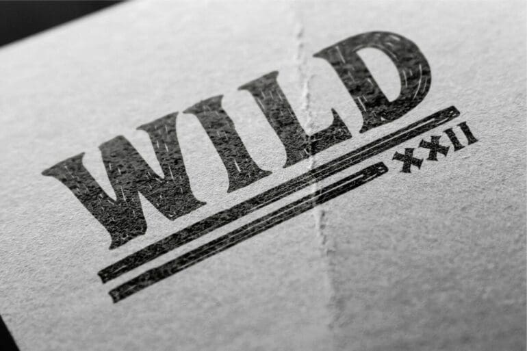 Adelard Vintage Font 2