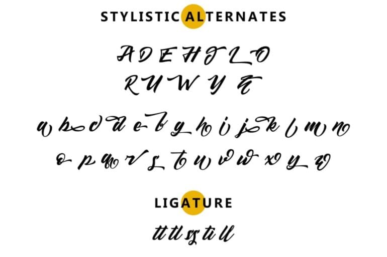 Sellwyne Script Font 4