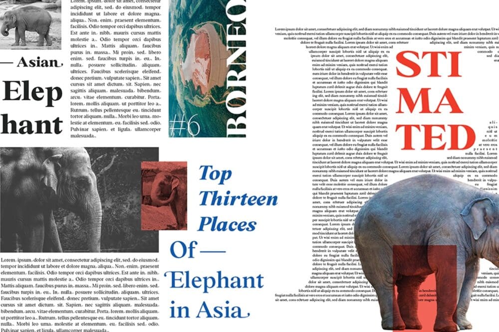 BD Megalona Serif Font 2