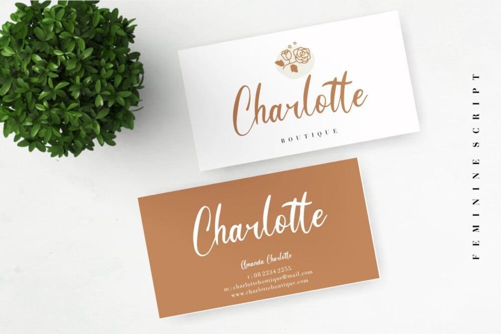 Hanessy Feminine Script Font 2