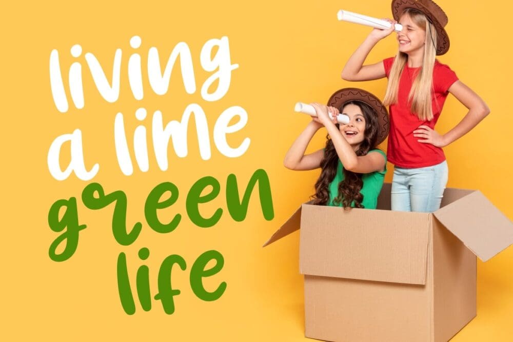 Lemony Fun Handwritten Font 1