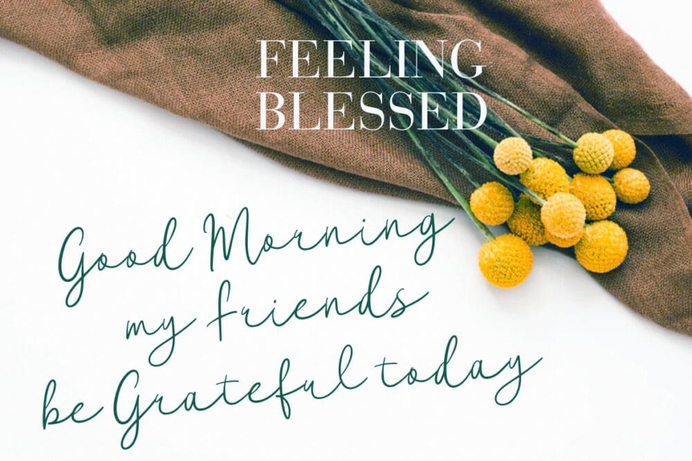 Ondyne Stylish Signature Font 1