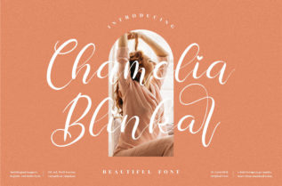 Chamelia Blinkar Font