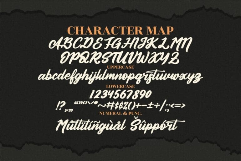 Authentic Calisttera Script Font 2