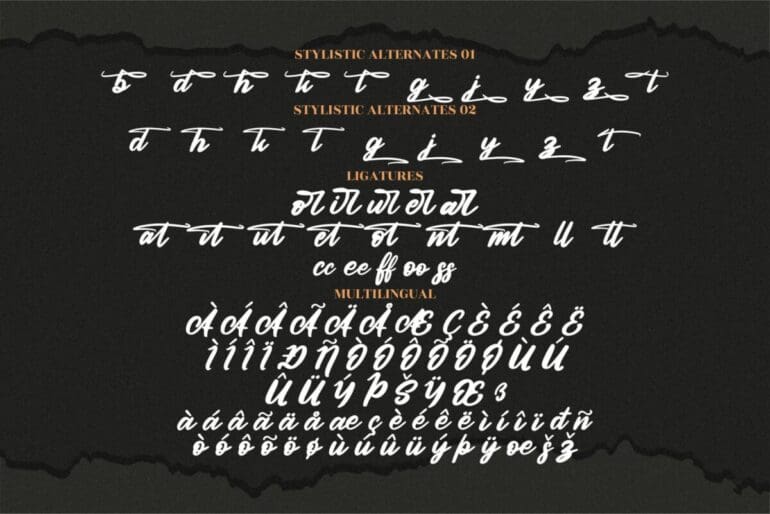 Authentic Calisttera Script Font 3