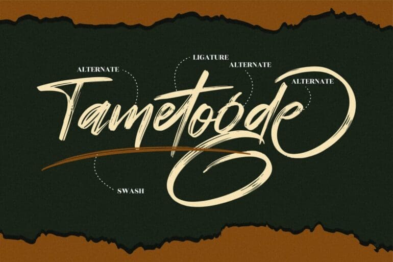 Tametogde Font 1