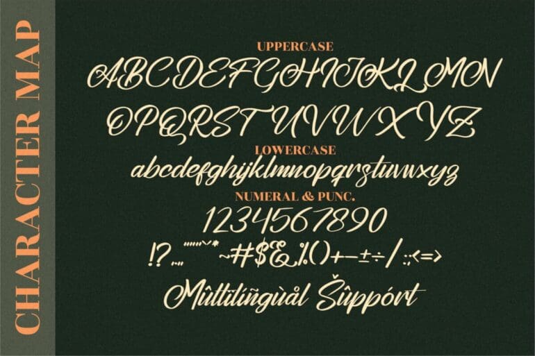 Stephenson Brandon Script Font 2