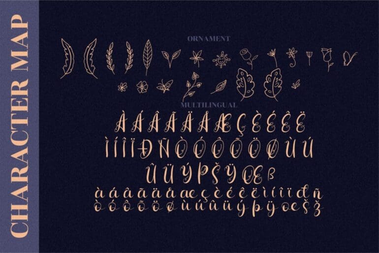Hiratheria Font 4