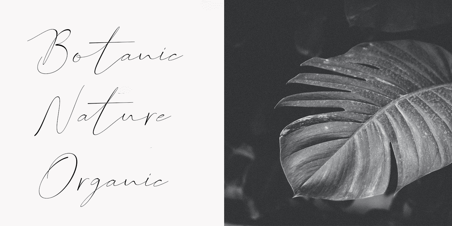 England Signature Font 4