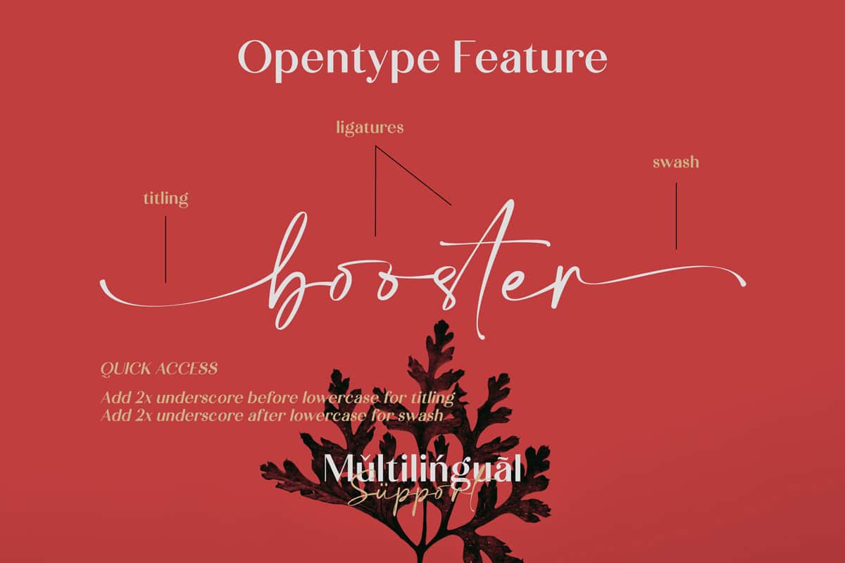 Calton Elegance Font 3