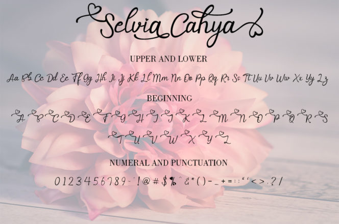 Selvia Cahya Font