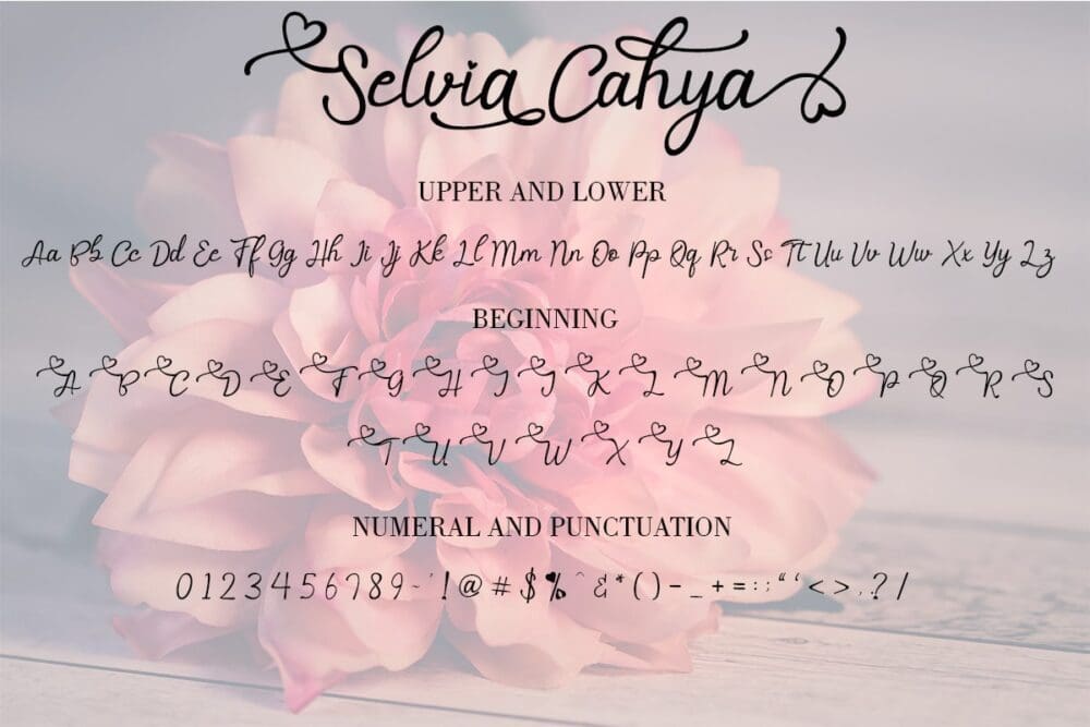 Selvia Cahya Font 3
