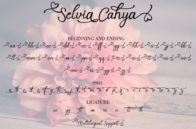 Selvia Cahya Font