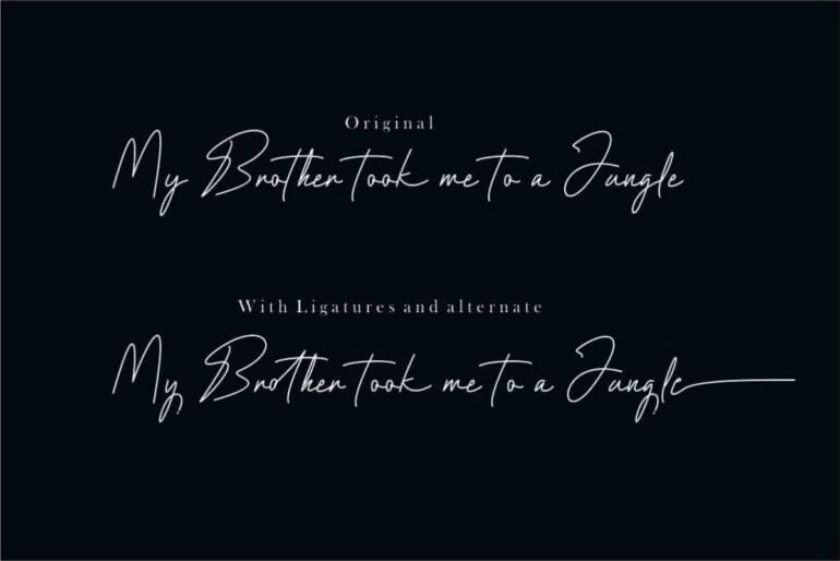 Paradigma Signature Font 4