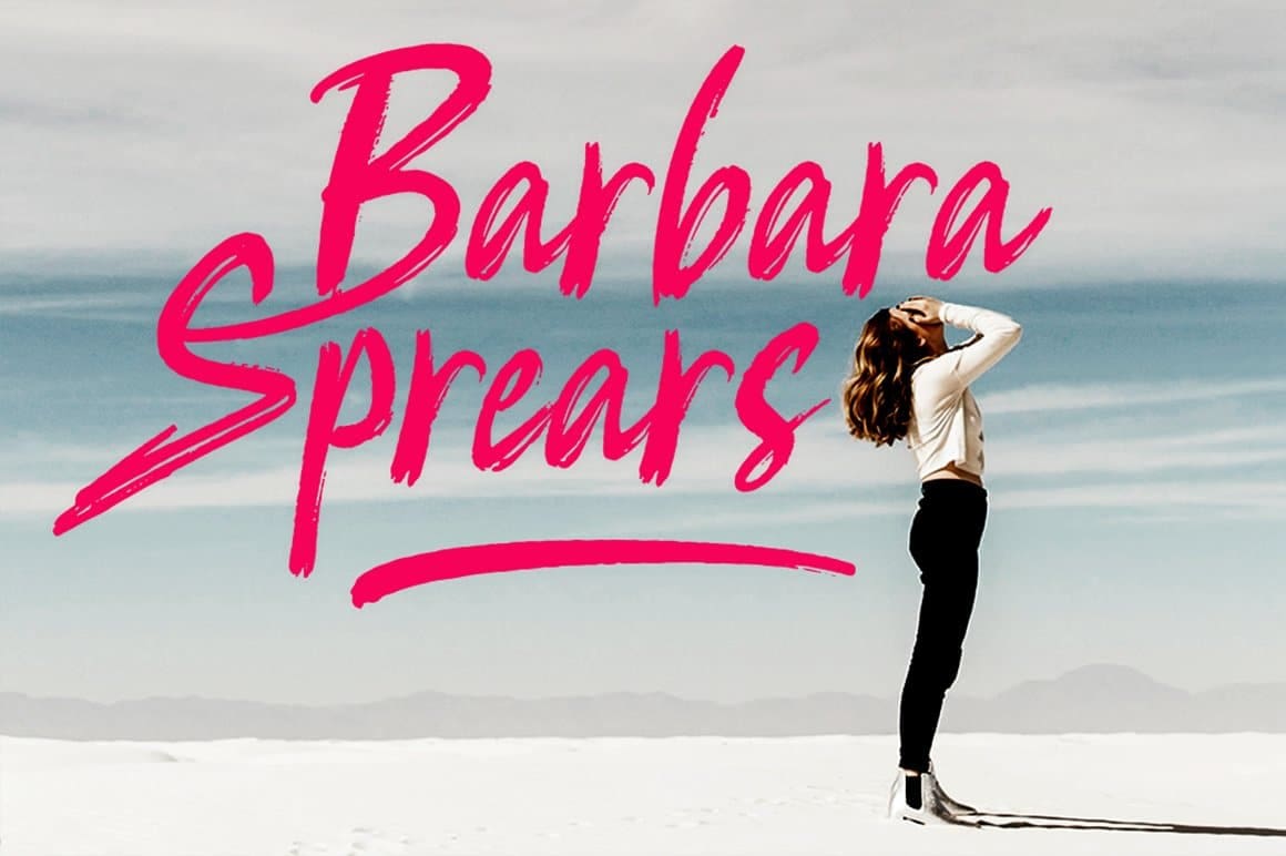 Hot Ink Brush Font 3