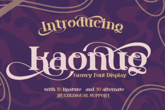 Kaonug Groovy Font