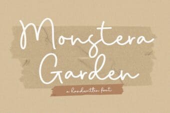 Monstera Font