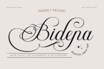 Bidena Script Font