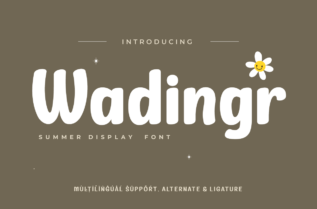 Wadingr Handwriting Font