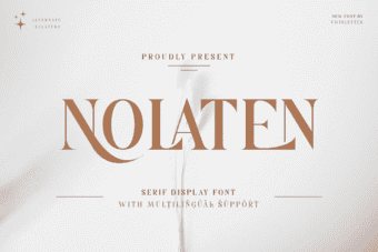 Nolaten Serif Display Font