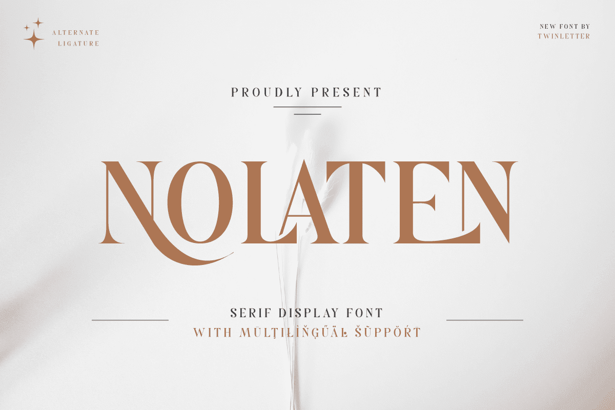 Nolaten Serif Display Font