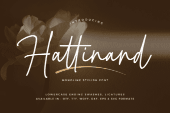Hattinand Monoline Font