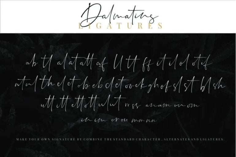 Dalmatins Font 4