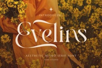 Evelins Serif Font
