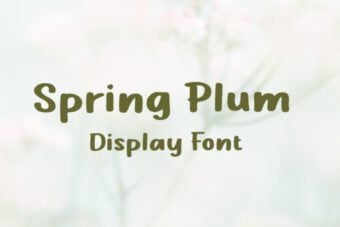 Spring Plum Font