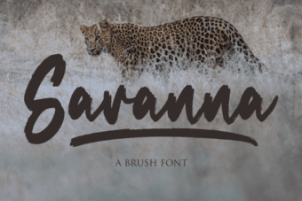 Savanna Font