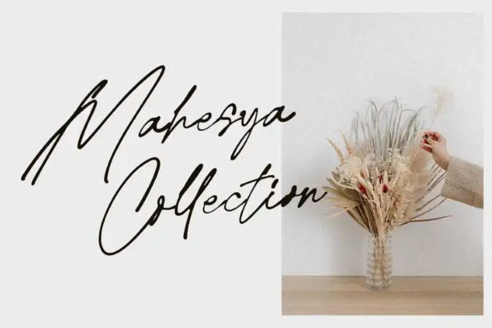 Belandia Signature Font 1