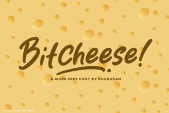 Bitcheese Font