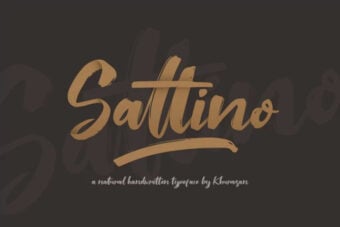 Saltino Font